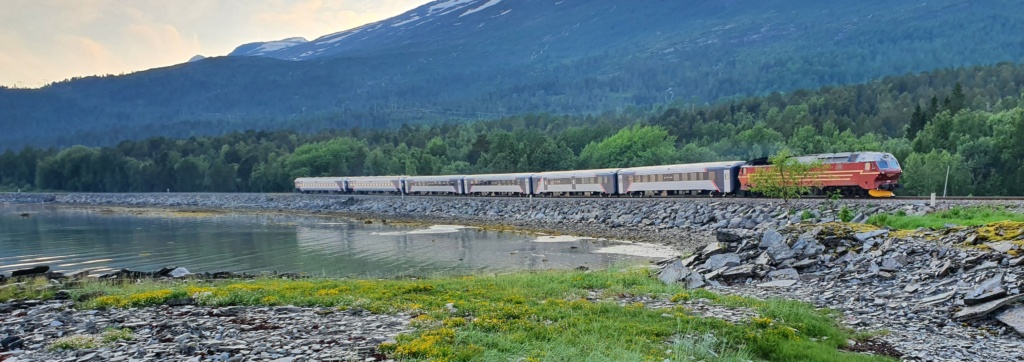 Train passing through the mountains
